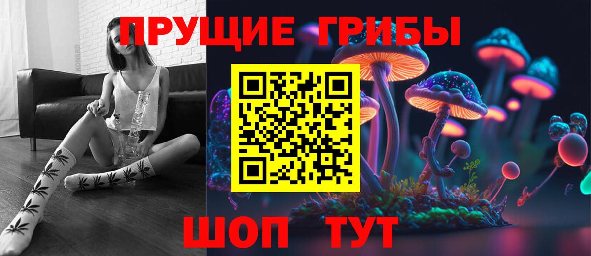 Галлюциногенные грибы прущие грибы Светлоград