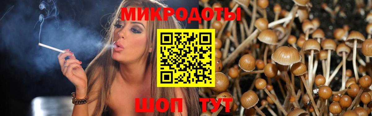 Псилоцибиновые грибы MAGIC MUSHROOMS  Галлюциногенные грибы ЛСД  Вход с VPN  Светлоград 